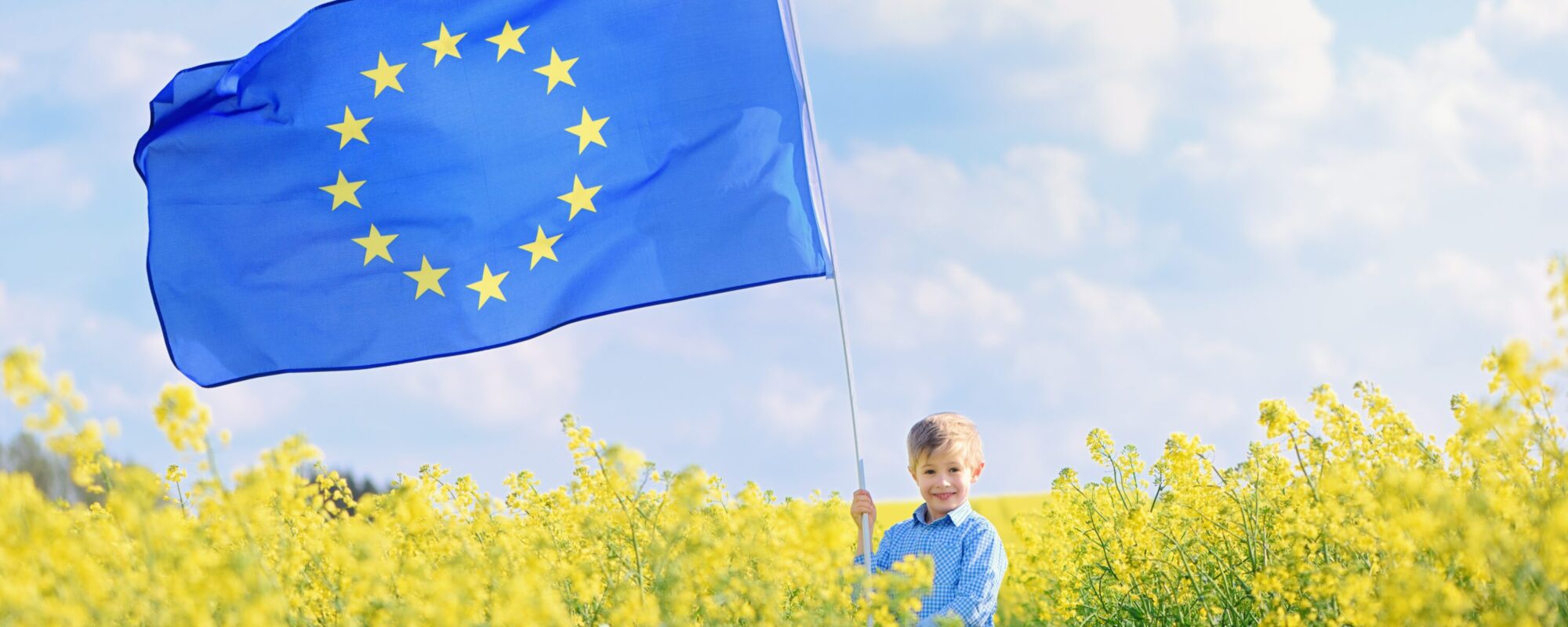 Ein Junge steht in einem gelben Rapsfeld. Er hält eine große Europa-Flagge. Diese weht im Wind