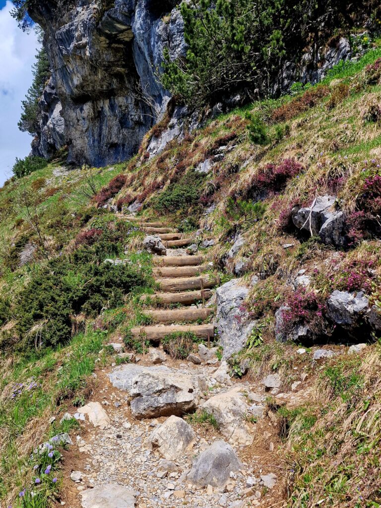 Ein Weg im Gebirge führt über Steinstufen